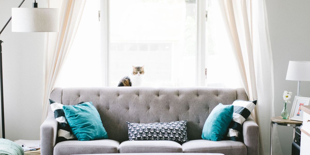 Décoration Industrielle pour Petits Espaces : Conseils et Astuces