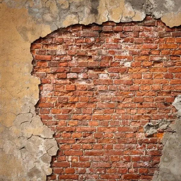 Papier Peint Industriel Briques Rouges Déco Indus