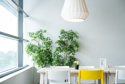Le métal coloré dans la décoration